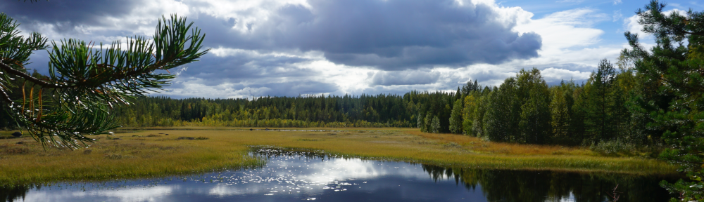 Storborgarn Jaktlag