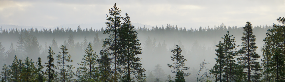 Storborgarn Jaktlag