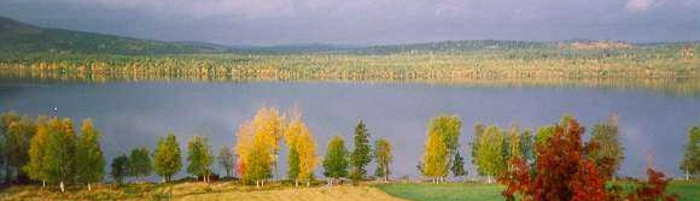 Storborgarn