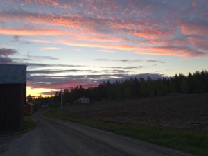 sommarnatt